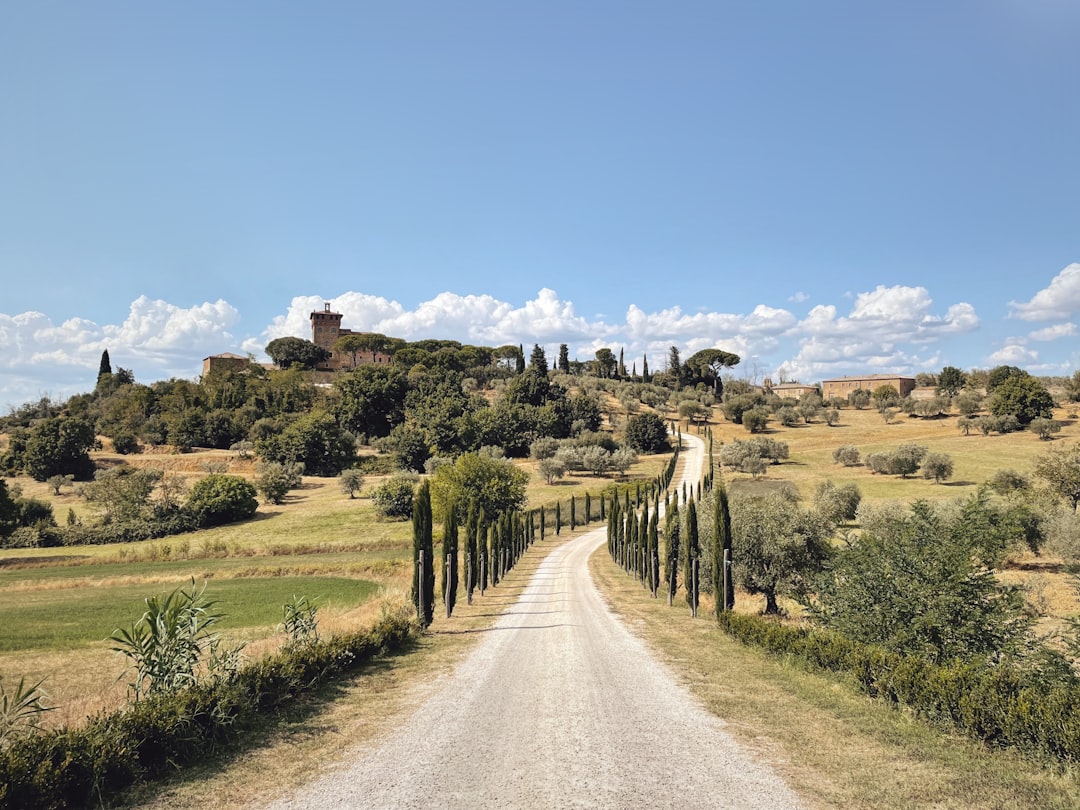 Cyprès autour d'une maison dans le Val d'Orcia