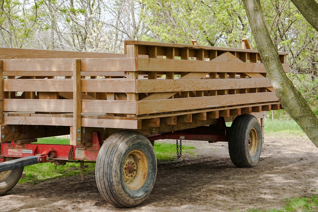 Remorque équipée d'un coffre de rangement en bois