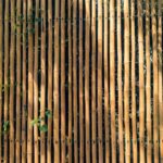 Bambou en bac formant un brise-vue sur une terrasse